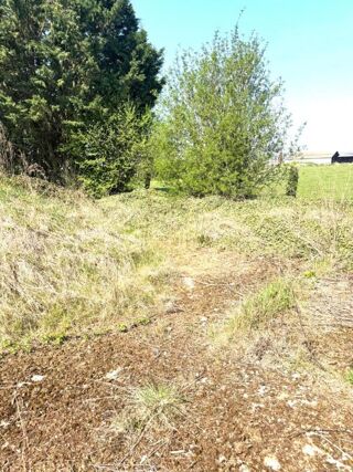  Terrain � vendre 503 m�