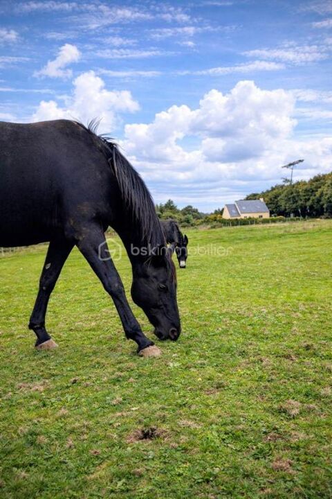   Maison au calme avec 1,9 ha de terrain � Hangar � Proche plages Propri�t�/ch�teau - 5 pi�ce(s) - 80 m�