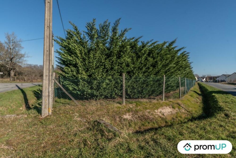 Vente Terrain Terrain constructible de 1128 m2  Vierzon Vierzon