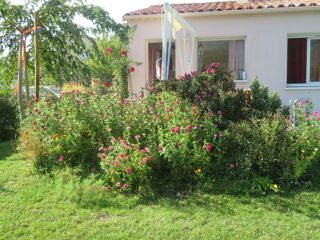  Maison à vendre 3 pièces 41 m²