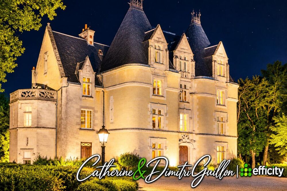 à vendre  Propriété/château Vouillé (86190)