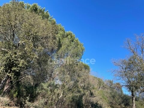   Var (83), à vendre GASSIN Terrain Agricole Zone AOC environ 17 000 m² (1 ha 7a) (31 euros/m2) 
