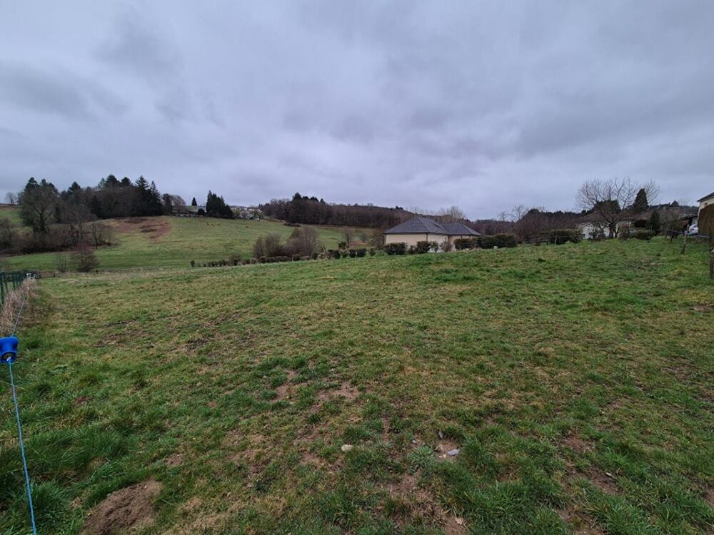 Vente Terrain Terrain constructible  2662 m²  19490 Sainte Fortunade Sainte fortunade