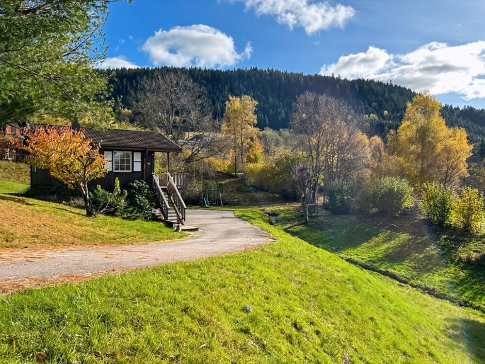 Chalet en bois - cadre nature