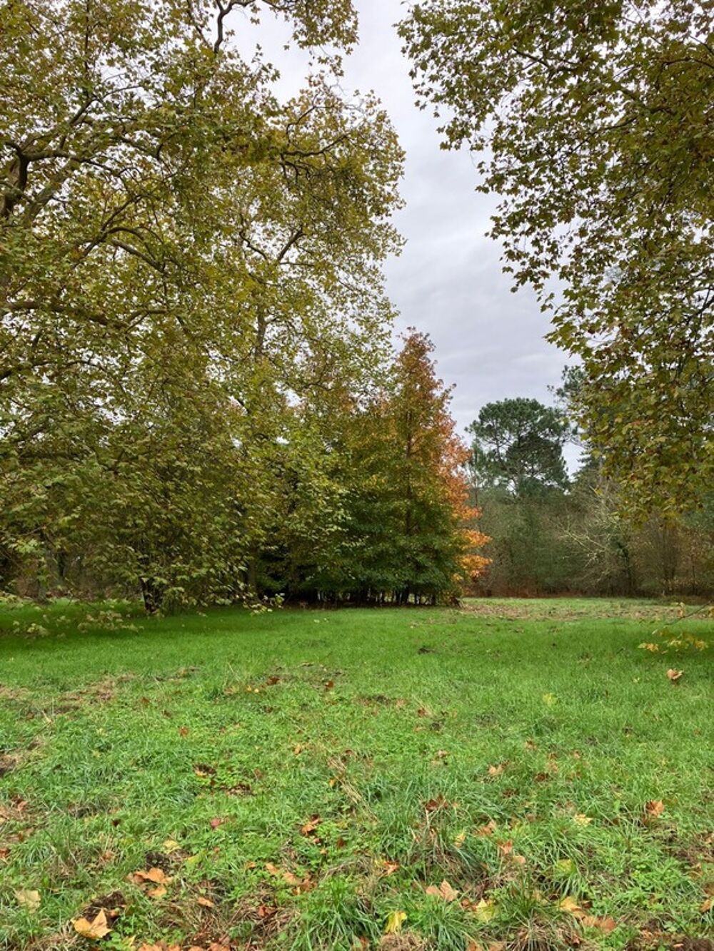 Vente Propriété/Château Un domaine de pierre de 160 m² env. à rénover sur 15950 m² de forets préservées, Un havre rare entre ciel et pins ! Le teich