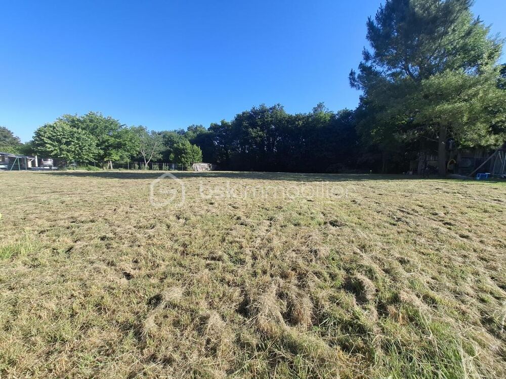 Vente Terrain Terrain à bâtir de 1 137 m² au cœur de l'Entre-deux-Mers à Frontenac (33760) Frontenac