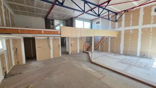  Loft à vendre 8 pièces 228 m²