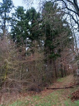  Terrain � vendre 31200 m�