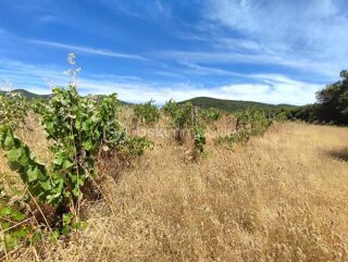  Terrain � vendre 54432 m�