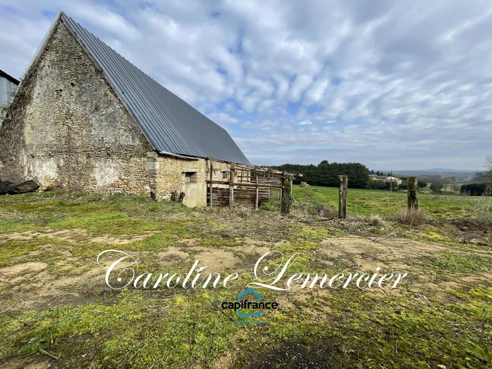 Vente Remise/Grange Maison à vendre 0 pièces proche de CONNERRE (72) GRANGE EN PIERRE DE 170 M² AVEC GRNIER SUR TOUTE LA SUPERFICIE , 2500 m² terrai Connerre