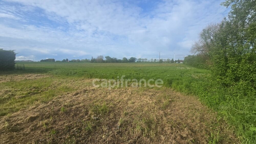 Vente Terrain Terrain pour réaliser minimum 3 MAISONS à Nachamps (17)proche SURGERES et SAINT JEAN D'ANGELY Nachamps