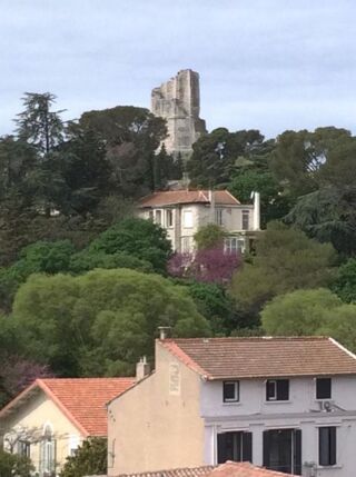  Appartement à louer 1 pièce 19 m²