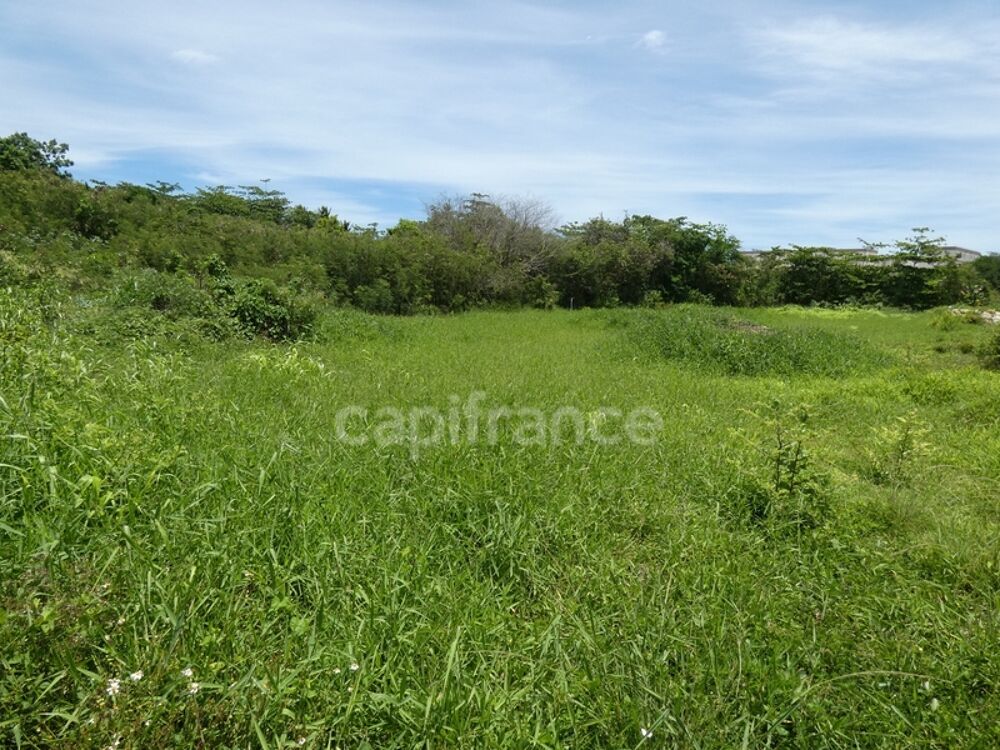 Vente Terrain Terrain à vendre  de 1811 m² sur LE MOULE (971) Le moule