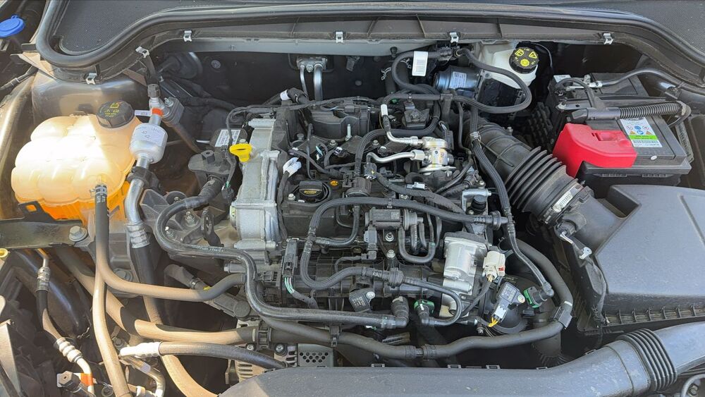 Focus IV 1.0 SCTi 125 EcoBoost Flexifuel mHEV ST Line - Entretien 2024 occasion 69680 Chassieu