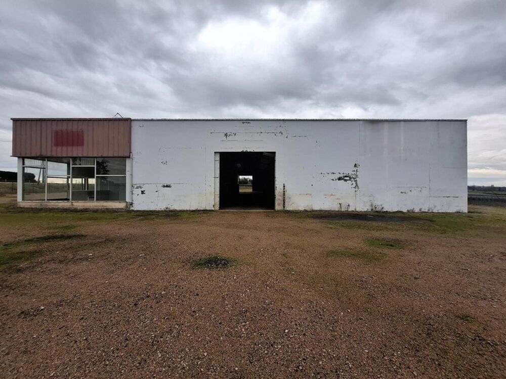  Entrepôt/Local d'activité/bureau - VARENNES SUR ALLIER (03150) - 395 000 euros Varennes sur allier