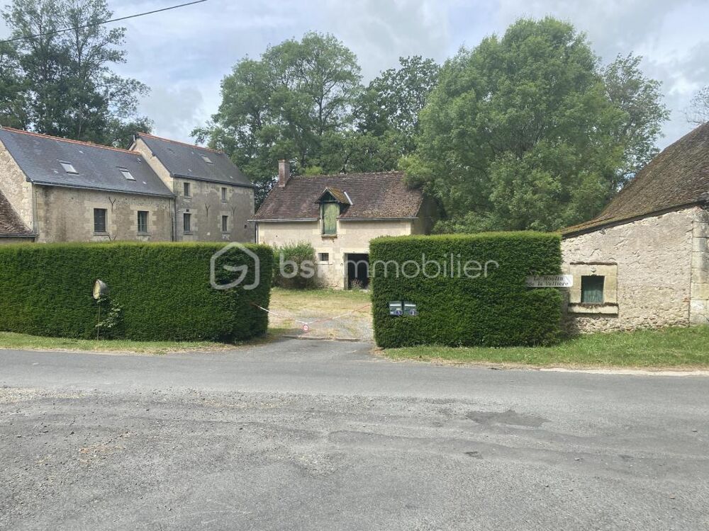Vente Propriété/Château A NE PAS MANQUER ! Propriété d'exception au coeur de la Vallée de la Brenne Reugny