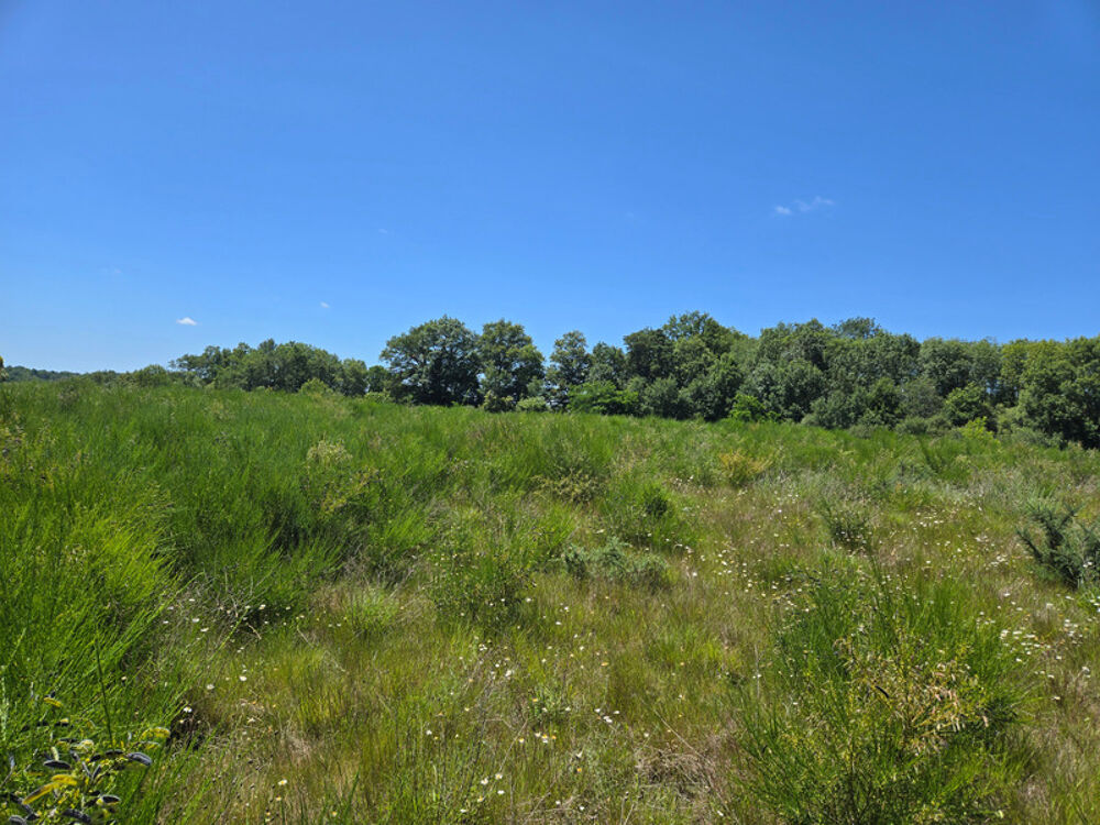 Vente Terrain 90 HECTARES DE TERRE AGRICOLE Oradour sur vayres