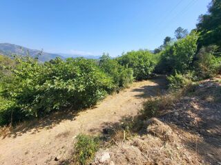  Terrain � vendre 3964 m�