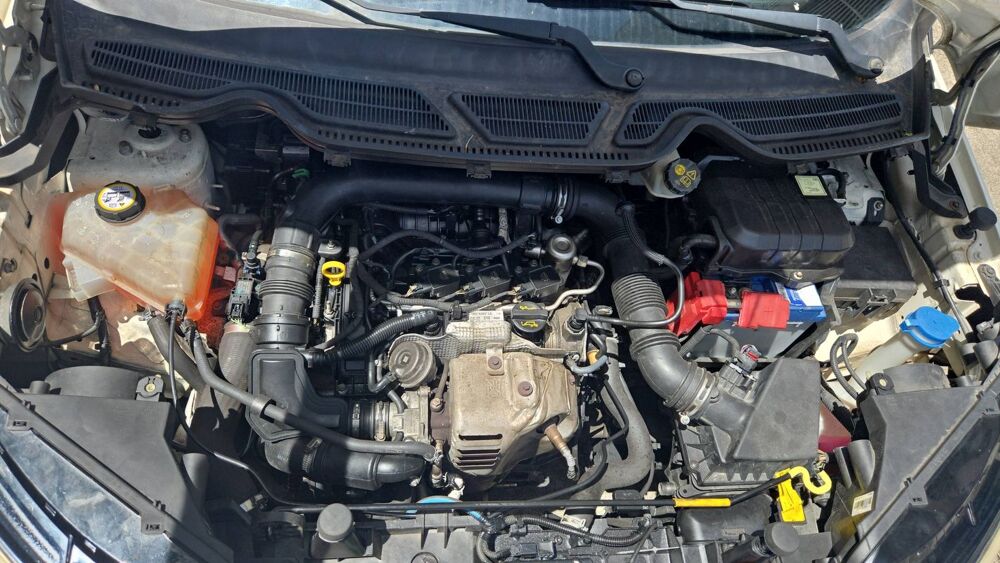 Ecosport 1.0 EcoBoost 125 Executive 2017 occasion 97233 Schoelcher