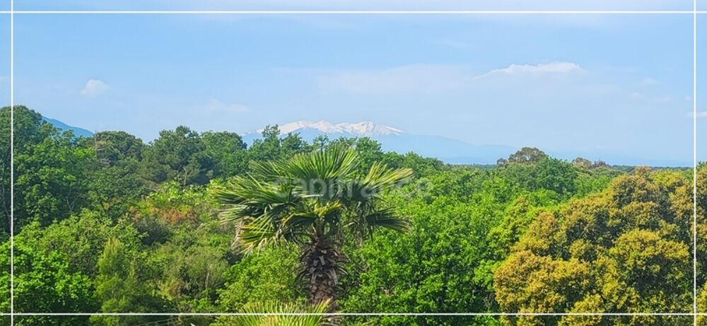 VENTE EN VIAGER OCCUPE - BOUQUET SANS RENTE