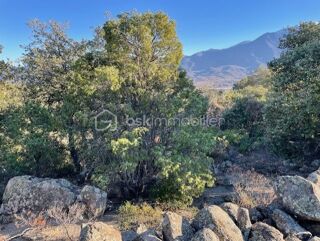  Terrain � vendre 5665 m�