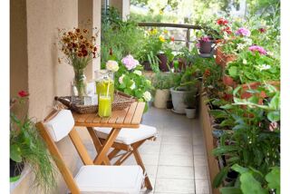  Appartement à vendre 3 pièces 66 m²