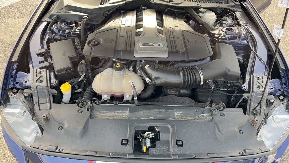 Mustang 5.0 V8 450 BVA10 Gt Fastback 2019 occasion 42600 Montbrison