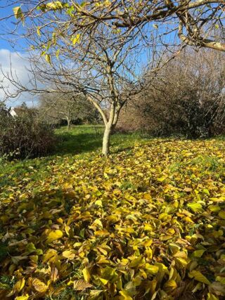  Maison � vendre 4 pi�ces 70 m�