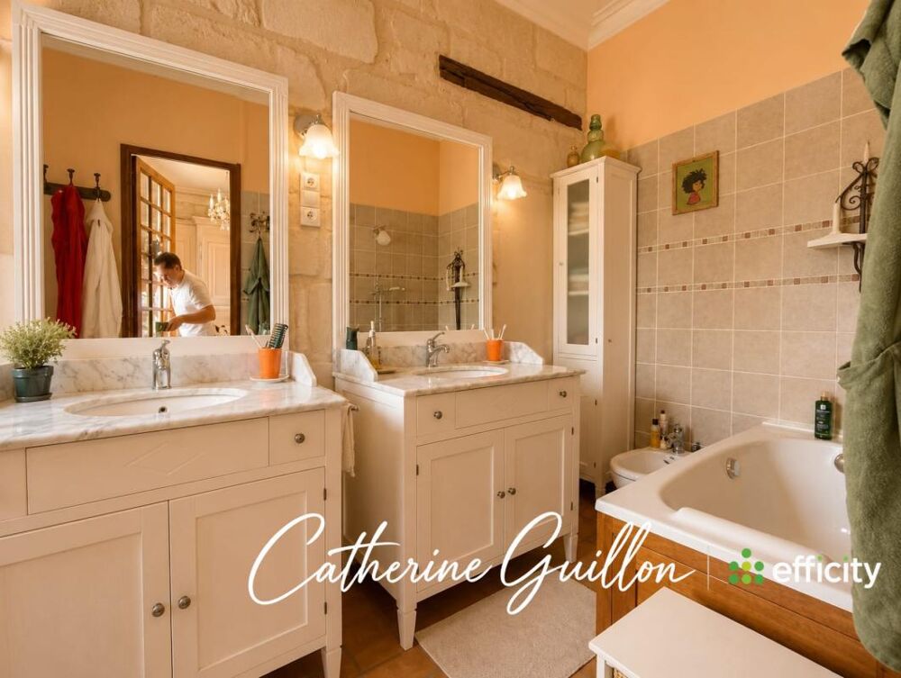 à vendre  Propriété/château Ingrandes (86220)