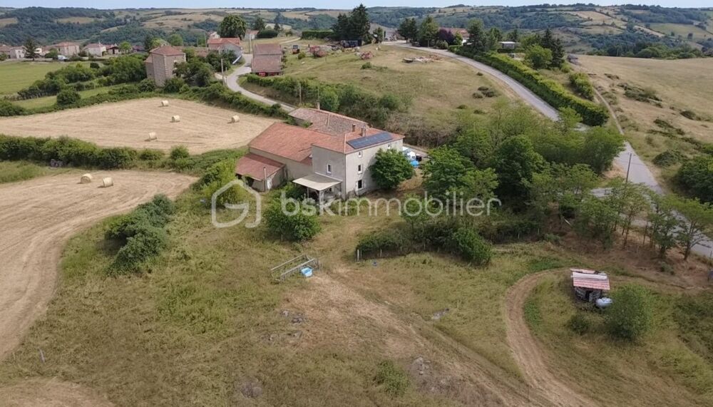 CORPS DE FERME + 4,7 HA  GROS POTENTIEL  PRIX EN BAISSE  Vue exceptionnelle  Proximité Roanne