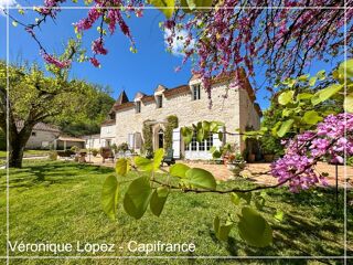 Vente Propriété/Château Golfech, à 10 minutes, propriété de charme au cœur de la nature sur plus de 15 hectares Saint urcisse