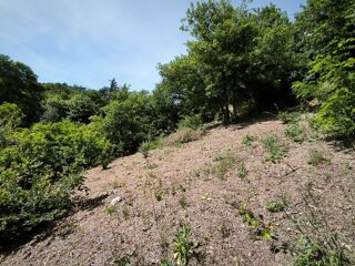  Terrain à vendre 1431 m²