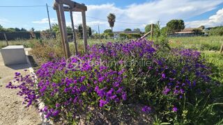  Terrain � vendre 490 m�