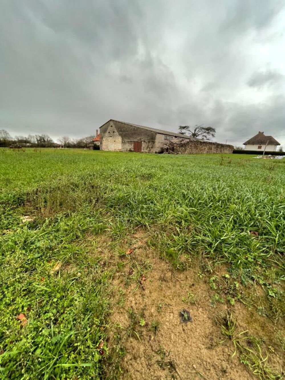Vente Terrain Terrain L'abergement Sainte Colombe 1143 m2 L abergement sainte colombe
