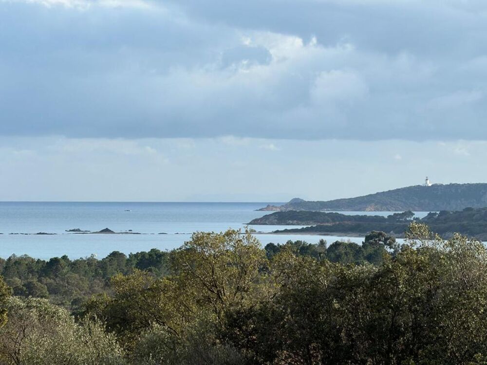 � vendre  Maison Lecci (20137)