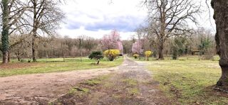  Propri�t�/ch�teau � vendre 14 pi�ces 346 m�