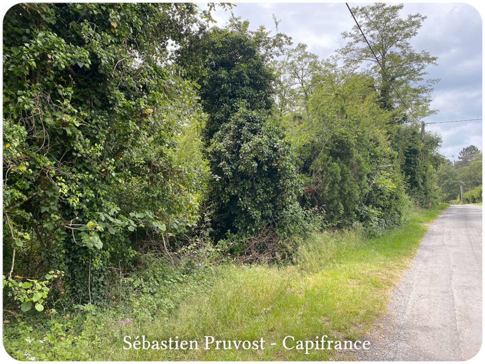 Vente Terrain Terrain à vendre  SAINT ROMAIN ET SAINT CLEMENT (24) - 2600m2 - Constructible Saint romain et saint clement
