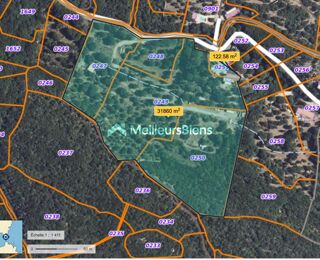  Propri�t�/ch�teau � vendre 420 m�