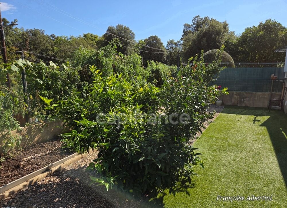 Maison à vendre 3 pièces - Jardin - terrasse - Santa Maria Poggio - Proche des plages (Haute Corse 2b)