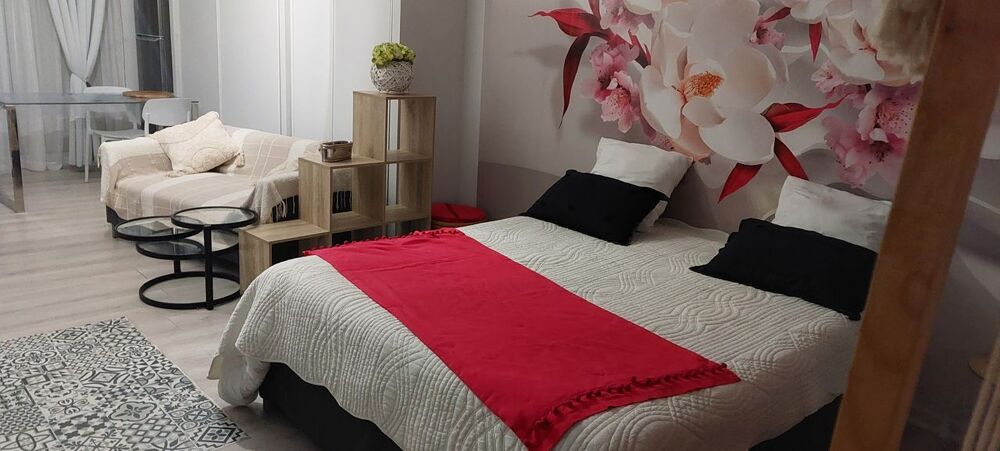 Location Appartement Chambre de 25m2 à louer sur Béziers Beziers