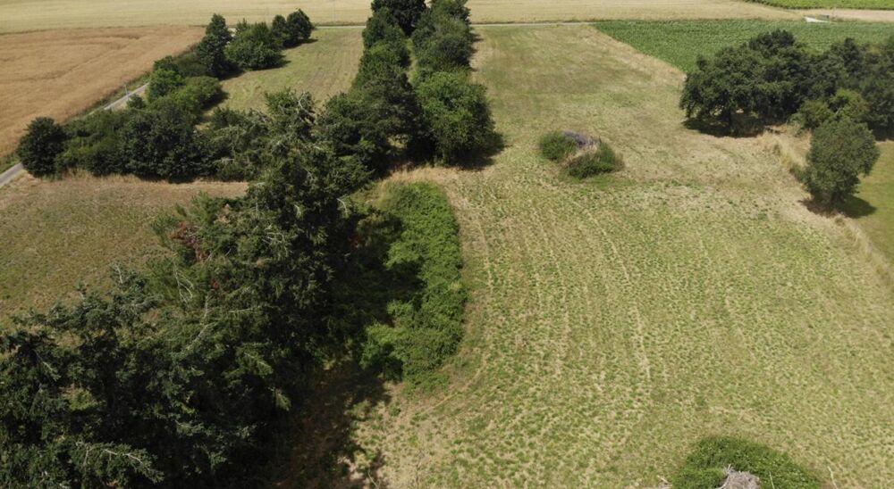 Vente Maison Longère Corme royal
