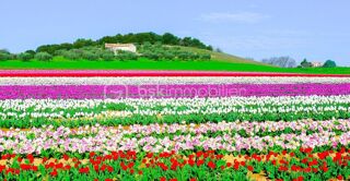  Terrain � vendre 442 m�