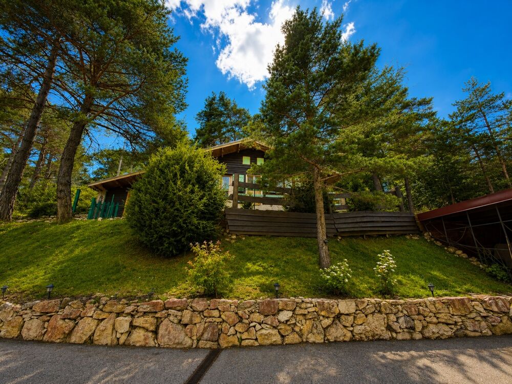 Maison bois 181 m² + maison indépendante 48 m²  à vendre 7 pièces ANDON (06)