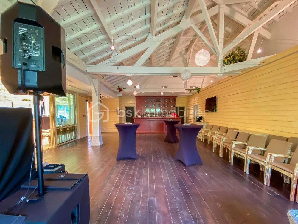  vendre  Proprit/chteau Savigneux (01480)