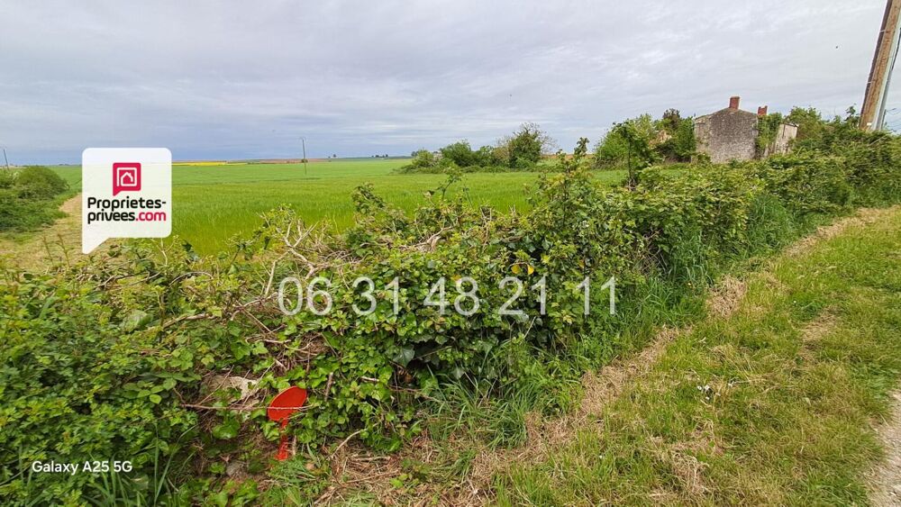 Vente Terrain TERRAIN CONSTRUCTIBLE  1621 M2 NON VIABILISE Montreuil