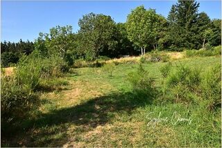  Terrain à vendre 1300 m²
