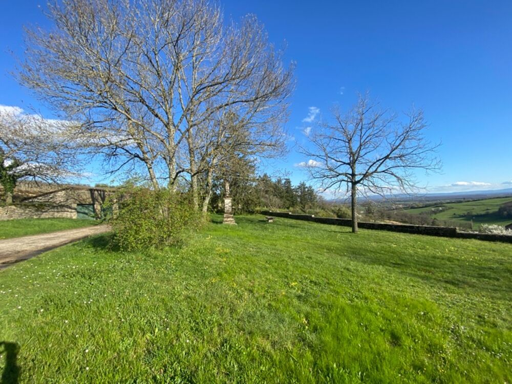 Vente Proprit/Chteau Dpt Sane et Loire (71) vendre Proche GIVRY (cte chalonnaise) chteau 11 pices de 350 m - Terrain de 4 123 m Givry