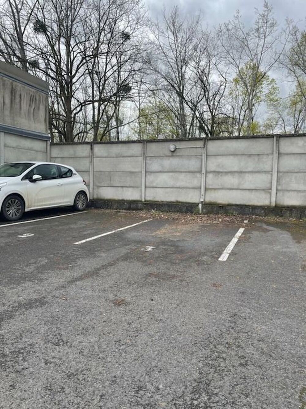 Location Appartement Studio de 27m2 à louer sur Reims Reims