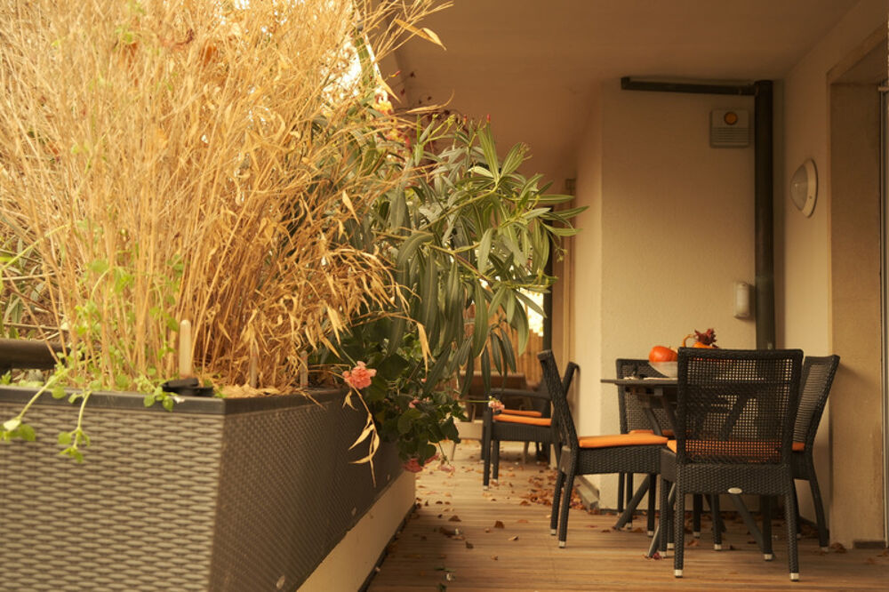  vendre  Appartement Strasbourg (67000)