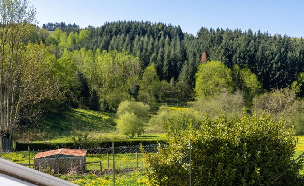 Charme et Potentiel au Coeur de la Nature à Violay